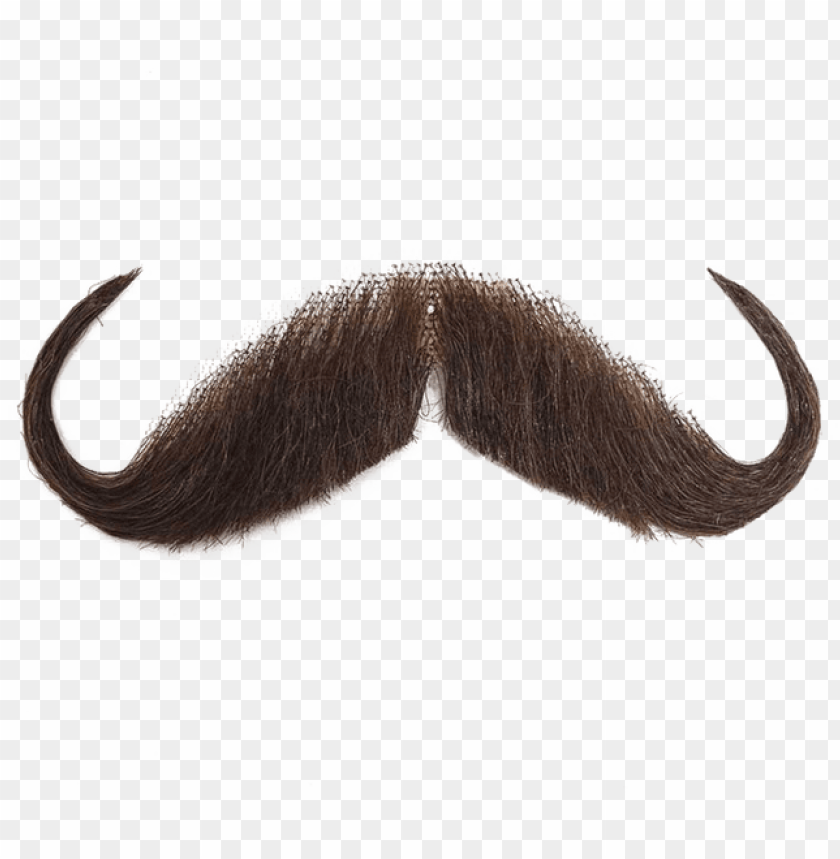 for this time you need to make photo bomb with this transparent background moustache PNG transparent with Clear Background ID 171106