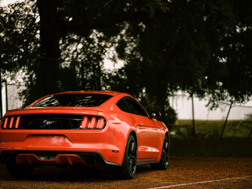 ford mustang, ford, car, sportscar, red, rear view