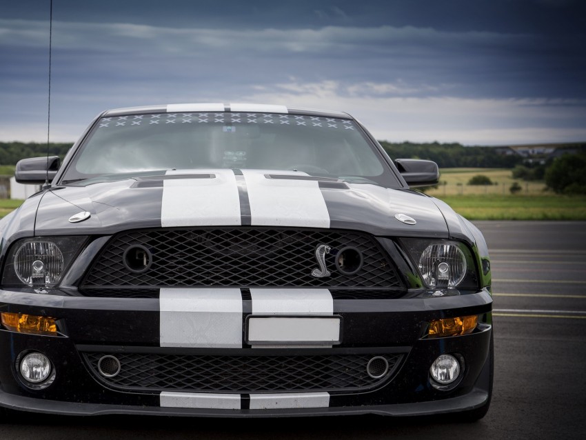 ford mustang, shelby, car, sports, front view