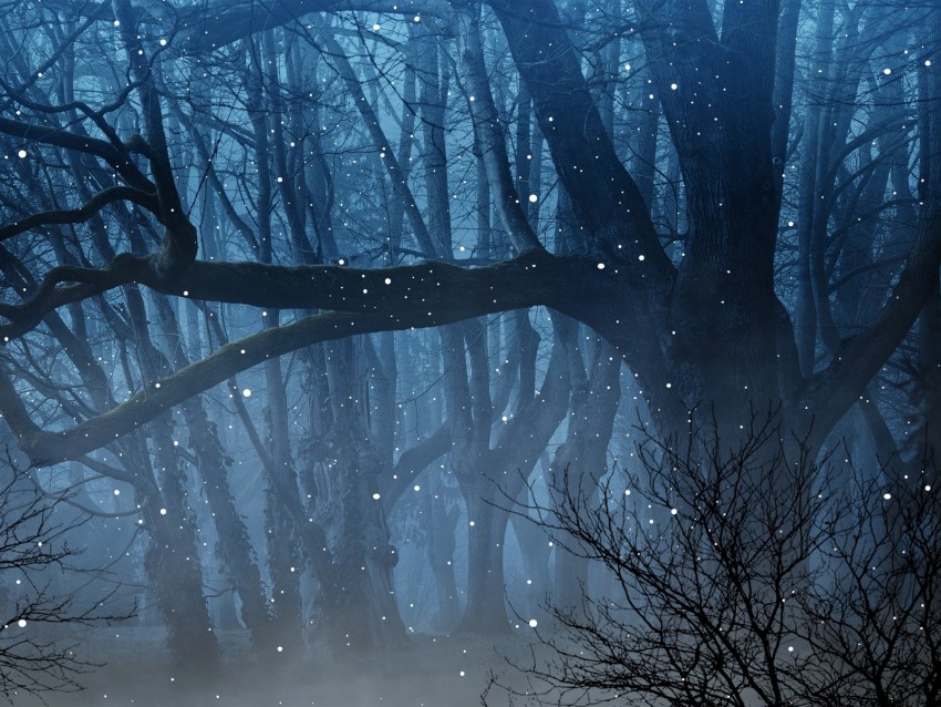 Forest Fog Fireflies Branches Png - Free PNG Images