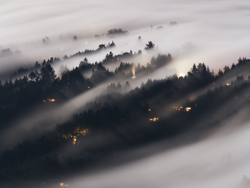 forest, fog, trees, shine, aerial view