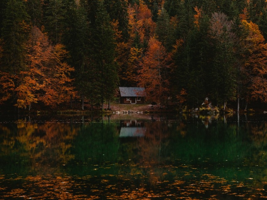 forest, house, autumn, lake, italy