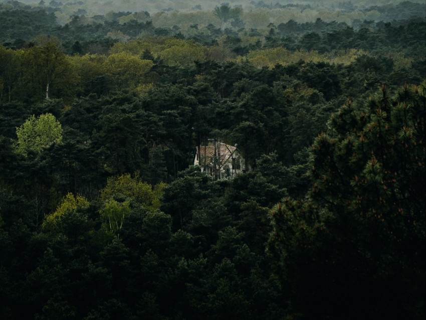 forest, house, lonely, aerial view, trees, nature