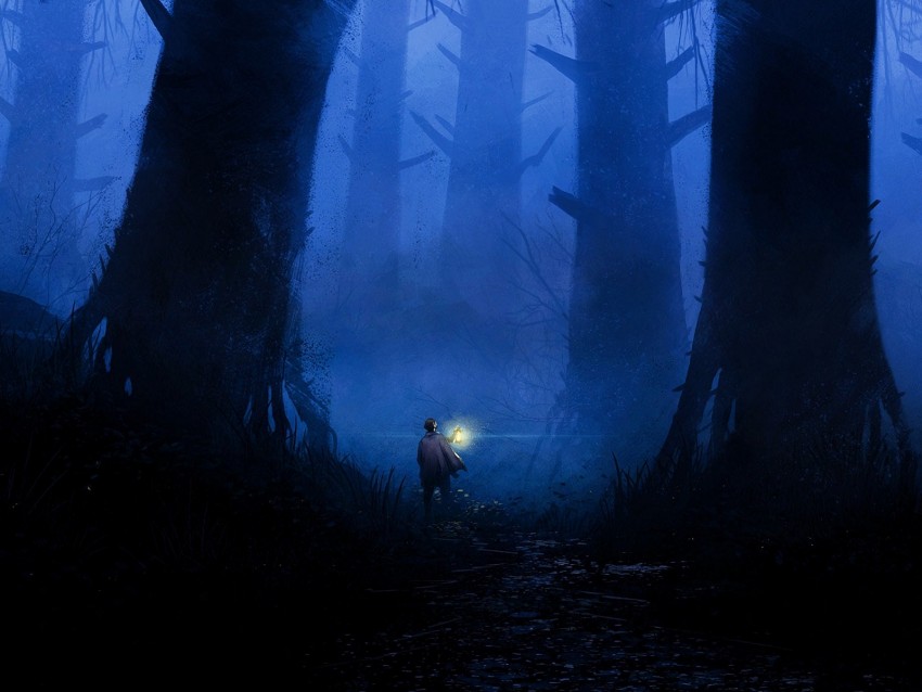 forest, loneliness, art, lantern, trees, fog
