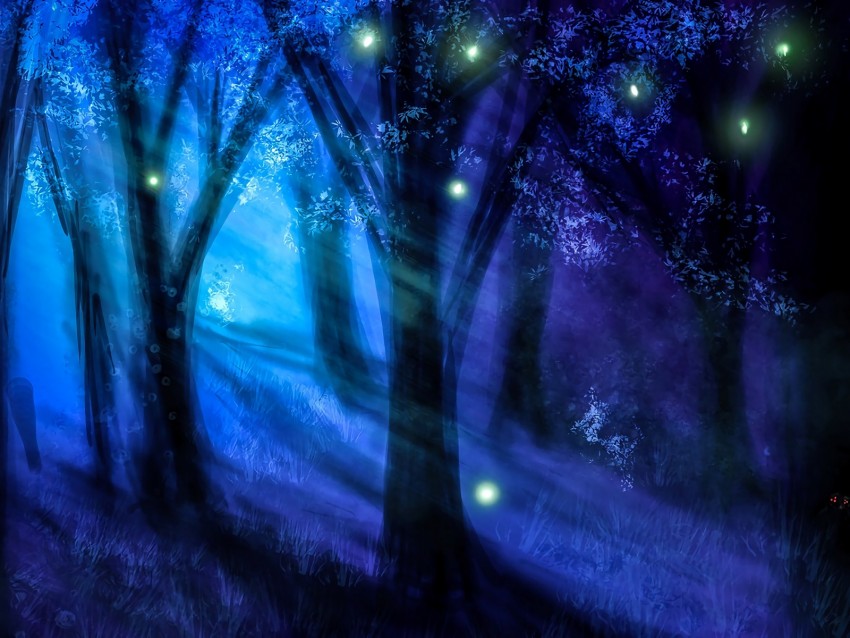 forest, night, art, trees, light
