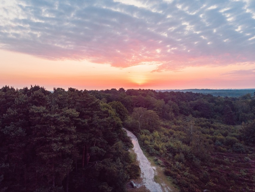 forest, path, aerial view, sunset, horizon