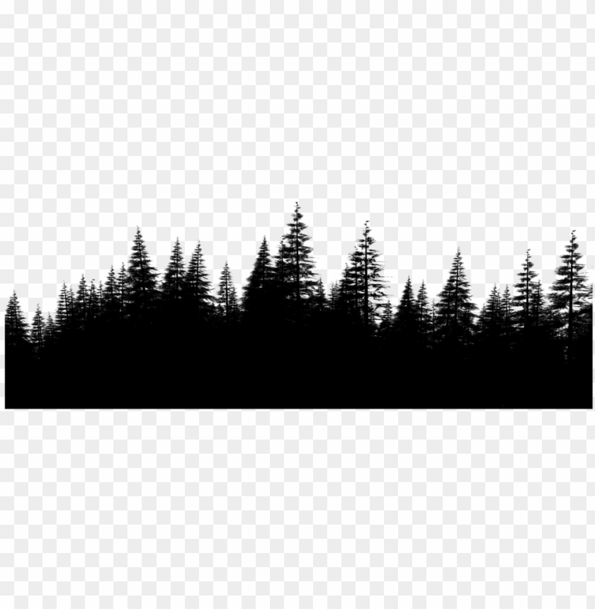 trees, isolated, symbol, frame, web, lines, sale