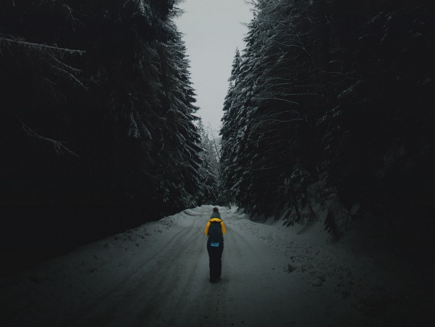 forest, road, silhouette, snow, winter, dusk