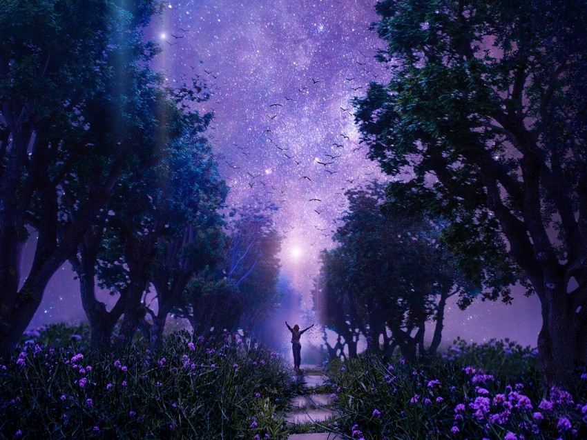 forest, starry sky, art, purple, fabulous