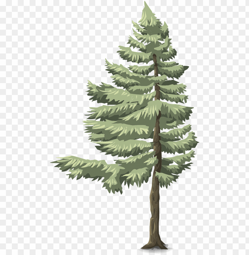forest tree conifer green nature forest coniferous forest biome clipart PNG transparent with Clear Background ID 188074