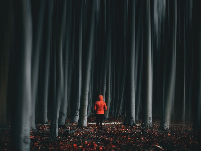 forest, trees, man, illusion, blur