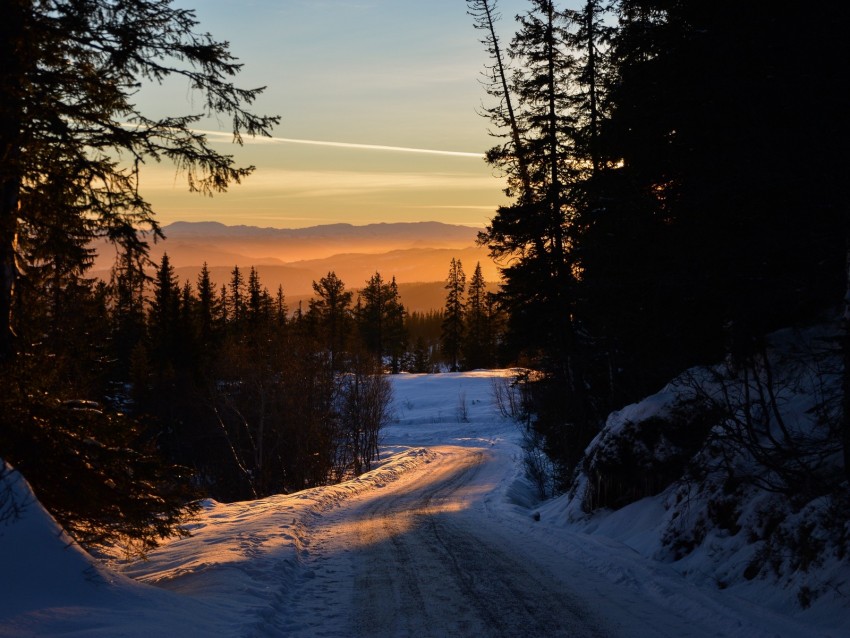 forest, winter, sunset, road, trees, sky