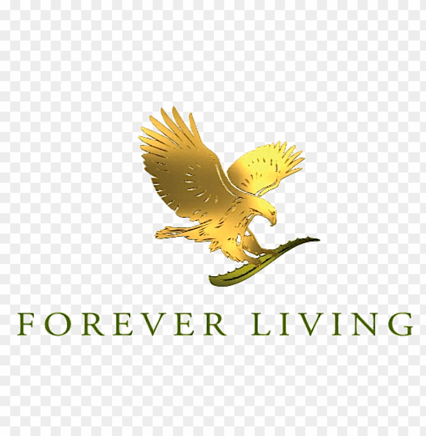 forever living logo