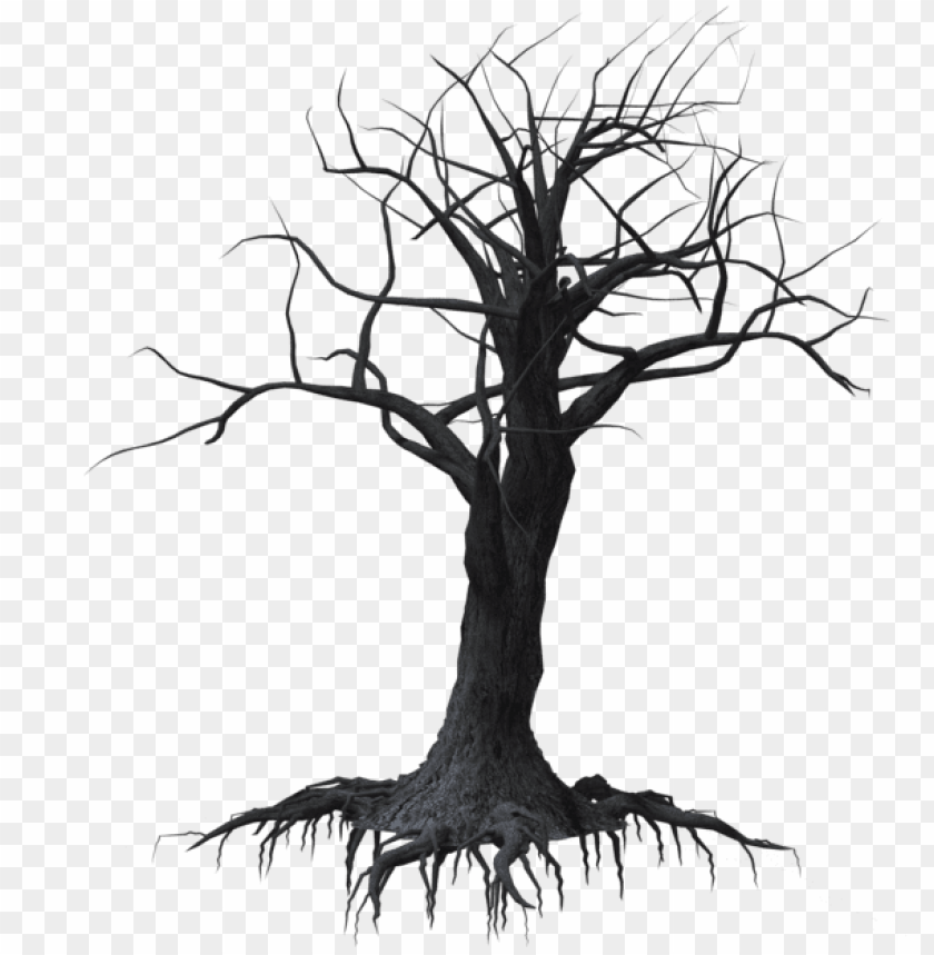 Forrest Drawing Dead Tree Forest Creepy Tree Png Image With