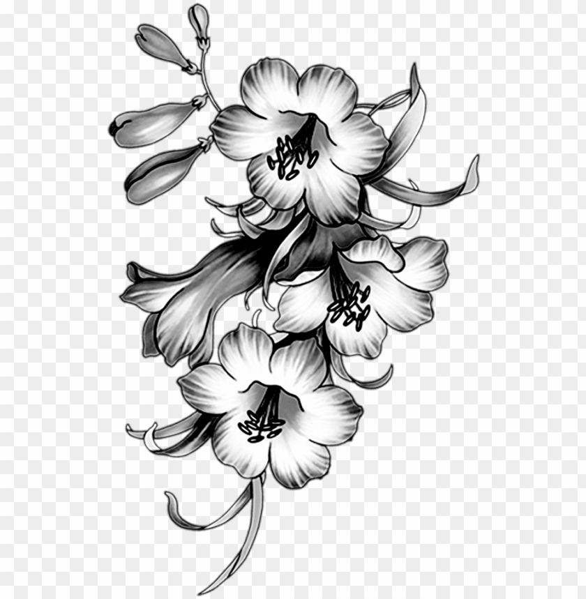 free PNG Фотки sketch 2, paper craft, black and white, tatuajes, - flower borders and frames PNG image with transparent background PNG images transparent
