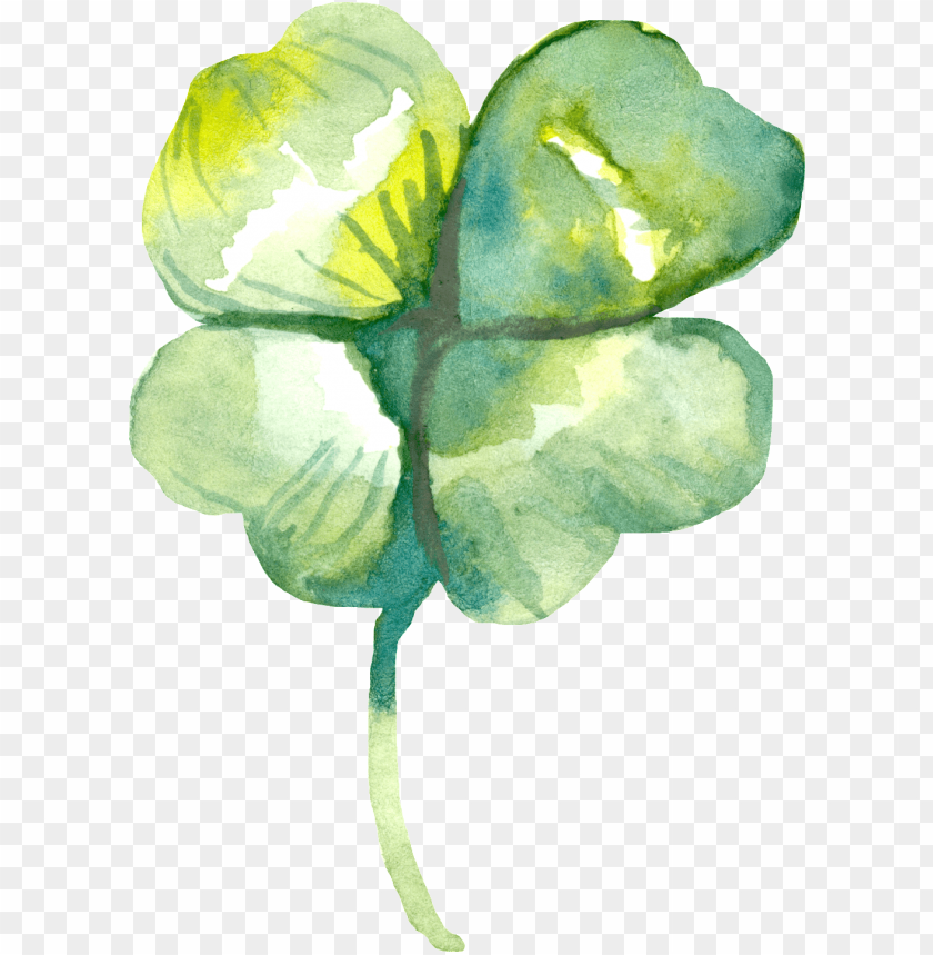 Four Leaf Clover Watercolor PNG Transparent Background