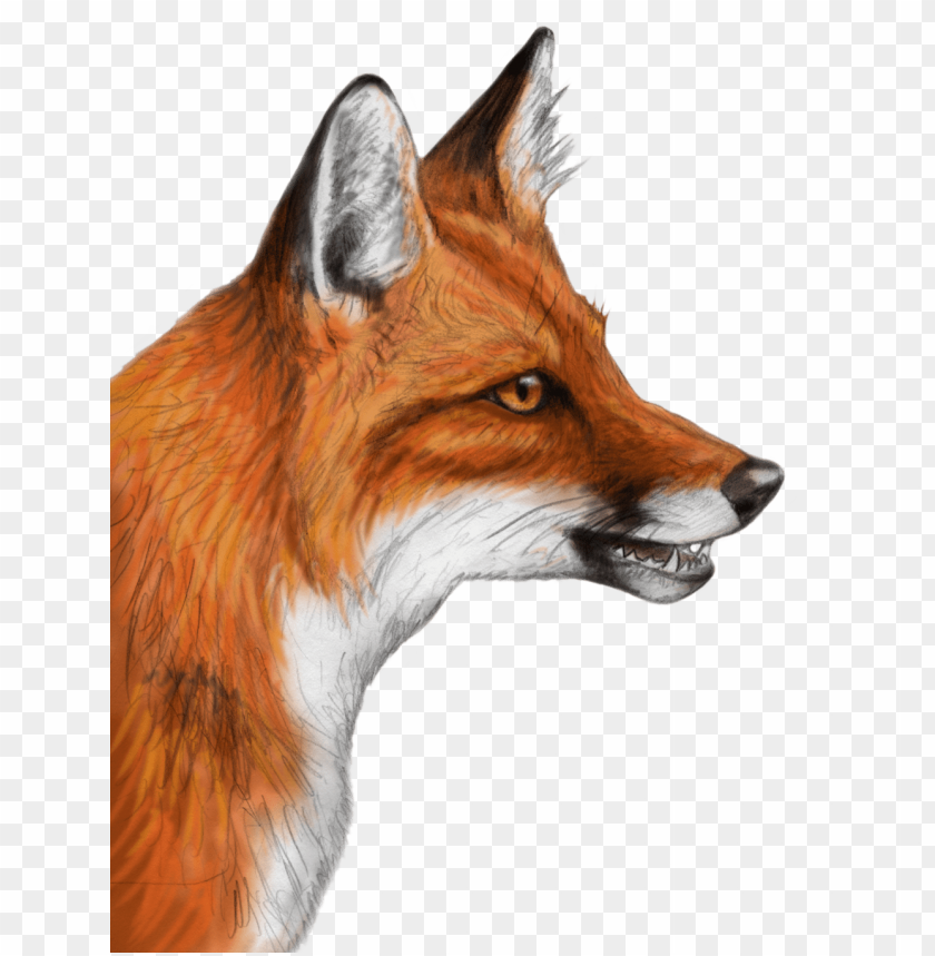 Fox Png Images Background - Image ID 2203