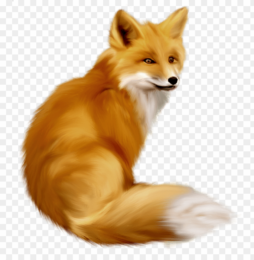 fox,animals