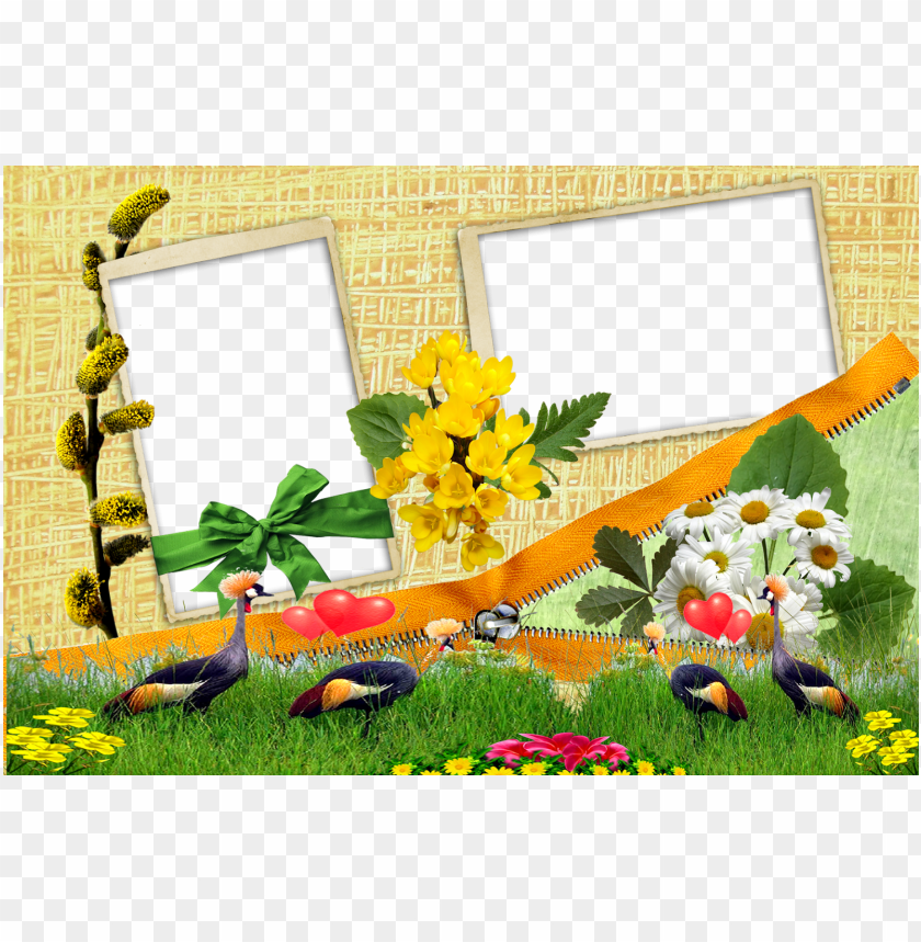 frame - 2 photo frame PNG image with transparent background | TOPpng