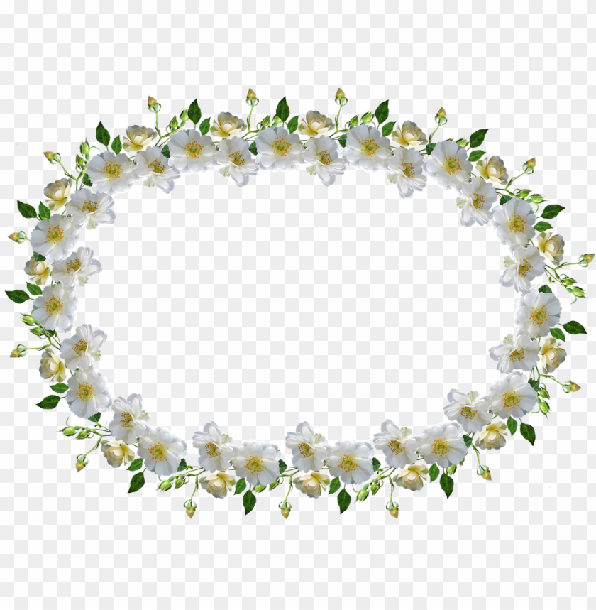 Frame Border White Rose Floral Bingkai Bunga Mawar