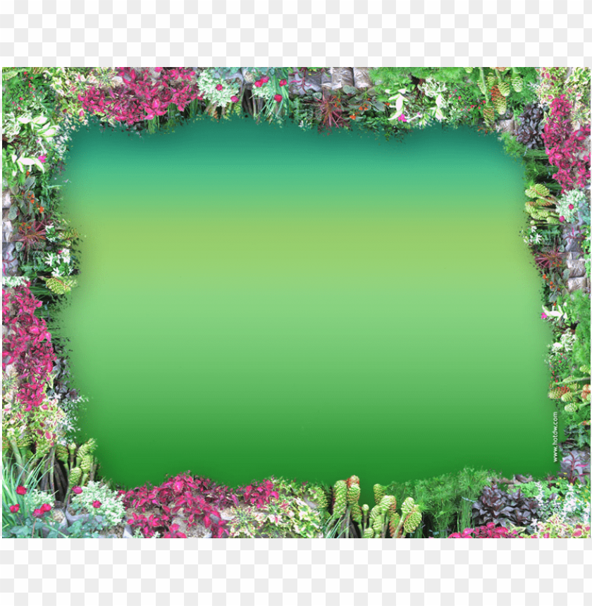 frame flower border background best stock photos - Image ID 56923