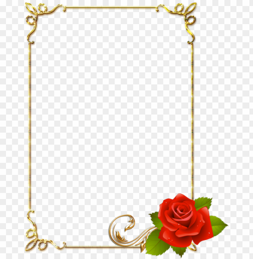 Flor Vermelha, Flor Rosa, Black Background png transparente grátis