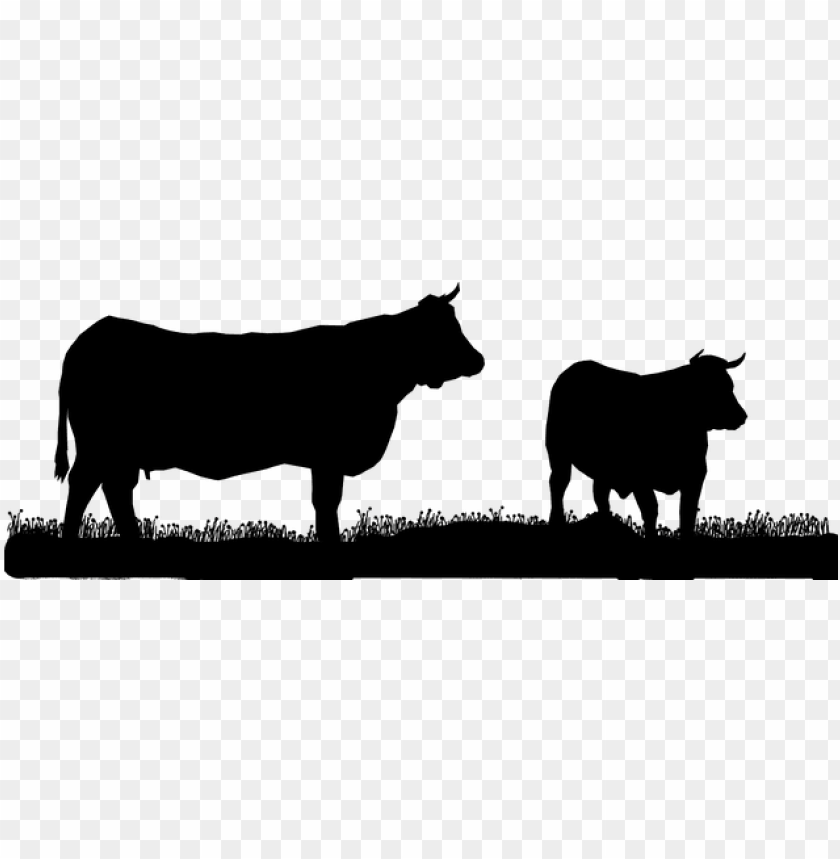 farm, background, bull, pattern, animal, abstract, milk