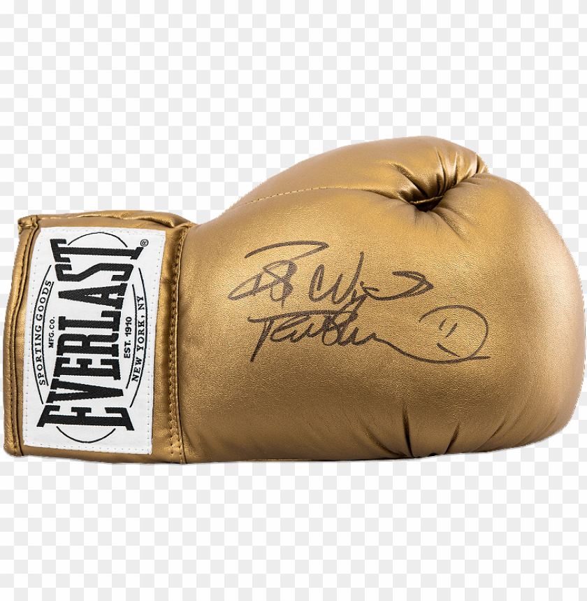 sign, gloves, boxing gloves, globe, golden, cleaning, template