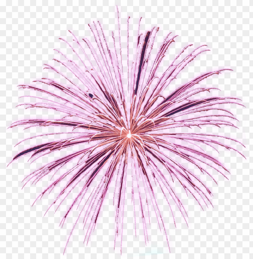 Download free animated fireworks gifs clipart and firework animations