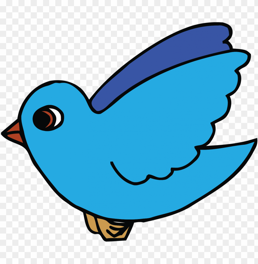 free bird cartoon PNG image with transparent background | TOPpng