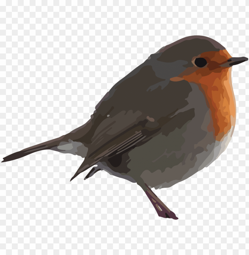 symbol, robin bird, illustration, bird, birds, robin hood, food