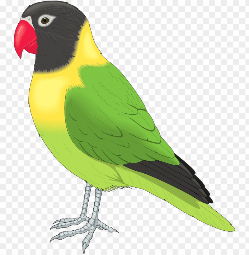 Download free clip art animals - pet bird clipart png - Free PNG Images |  TOPpng
