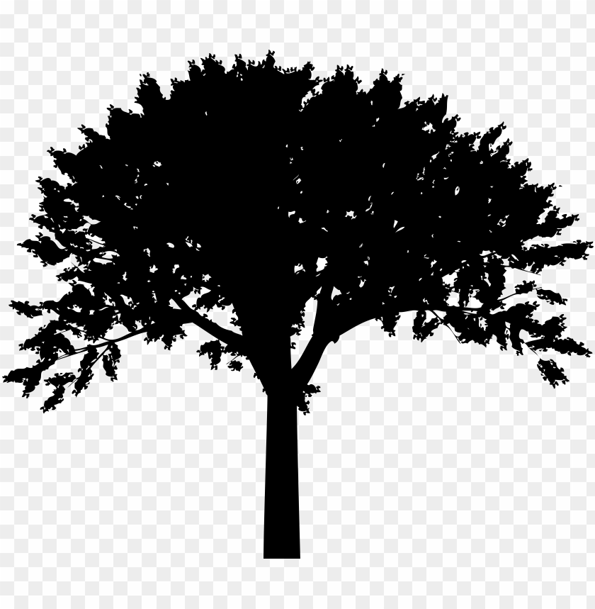 symbol, isolated, leaf, background, illustration, male, trees