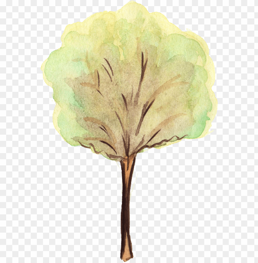 symbol, leaf, watercolor flower, trees, web, wood, water color