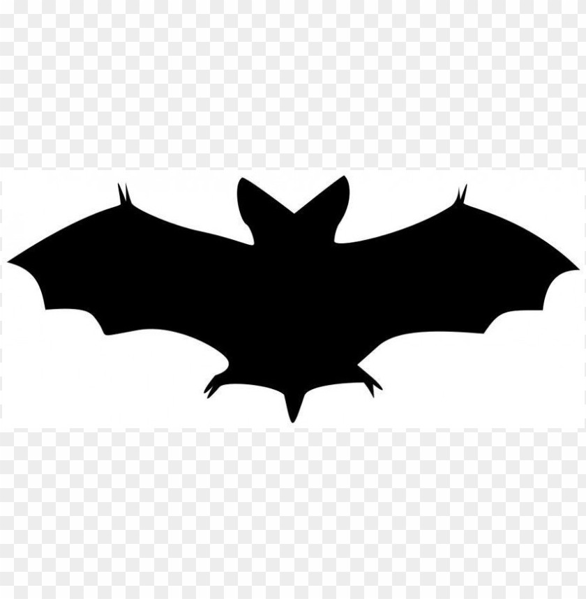 free PNG Download free halloween  bat the graphics fairy clipart png photo   PNG images transparent