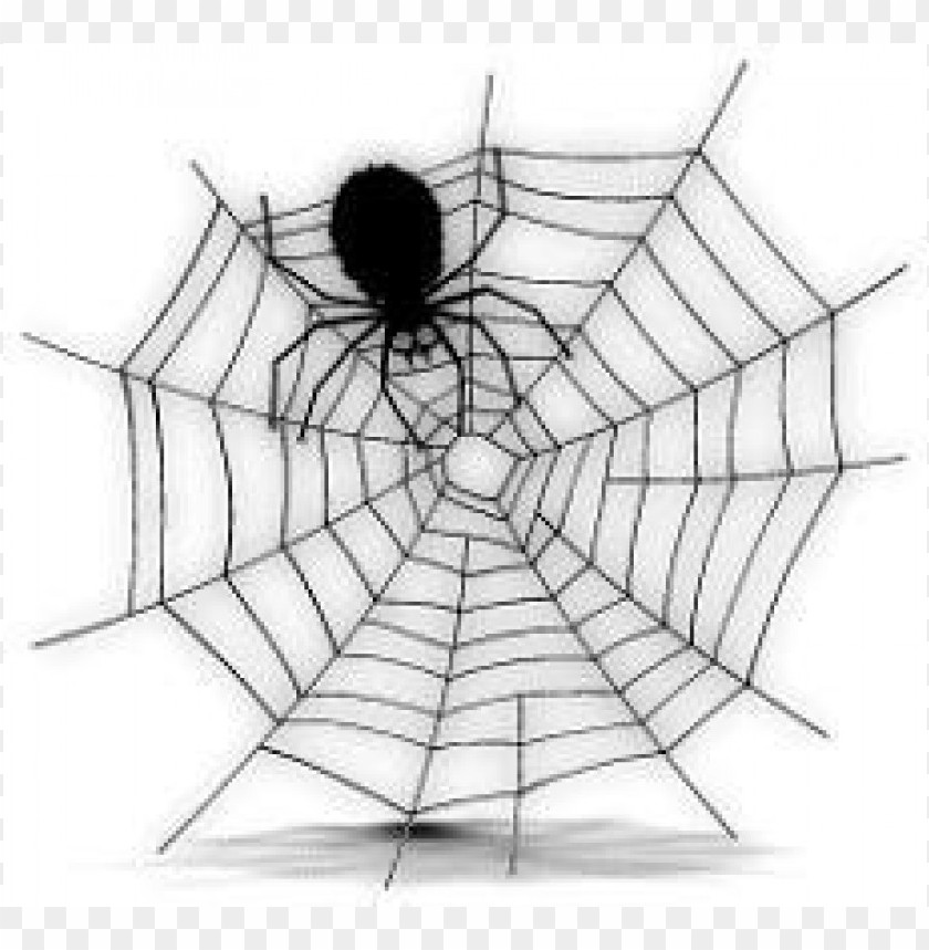 free halloween spider web clipart png photo - 35777