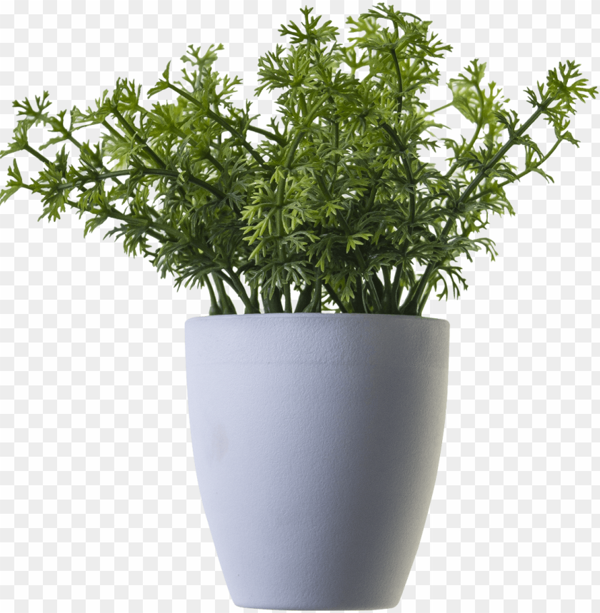 free icons png - plant in pot PNG image with transparent background@toppng.com