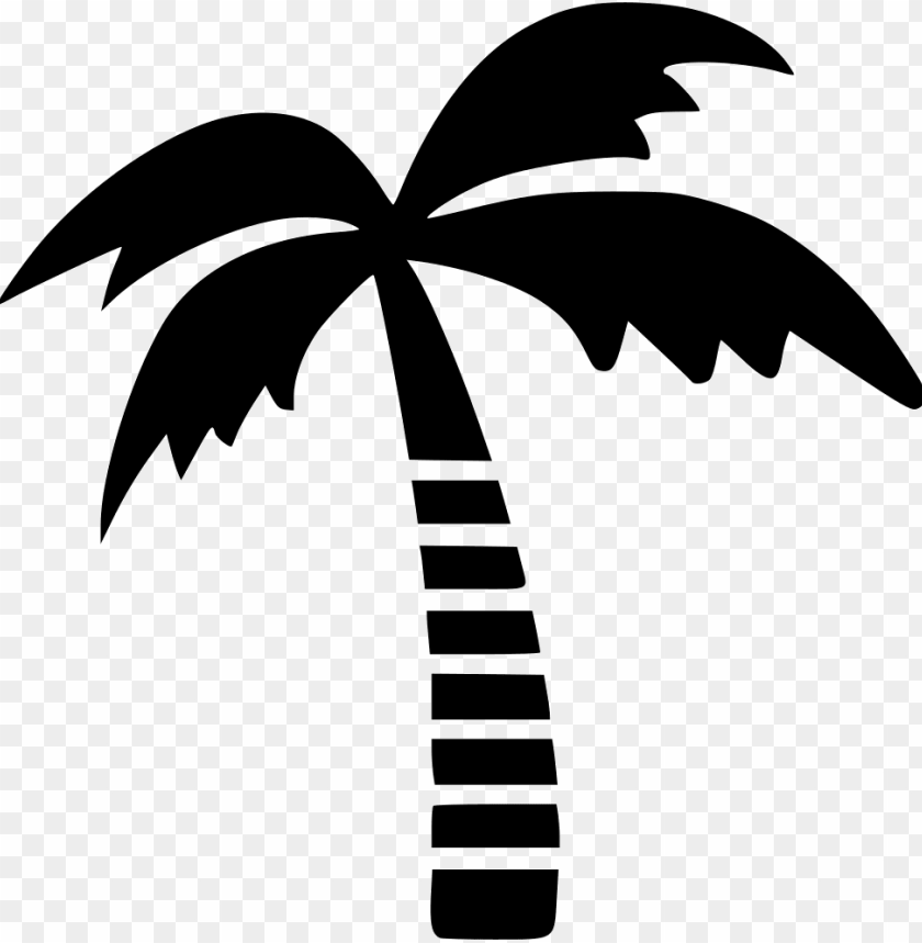 symbol, frame, summer, vector design, logo, flower vector, coconut oil