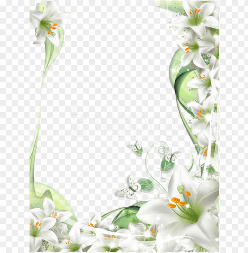 free PNG free png best stock photos photo frame with white lilies - frame white flowers PNG image with transparent background PNG images transparent