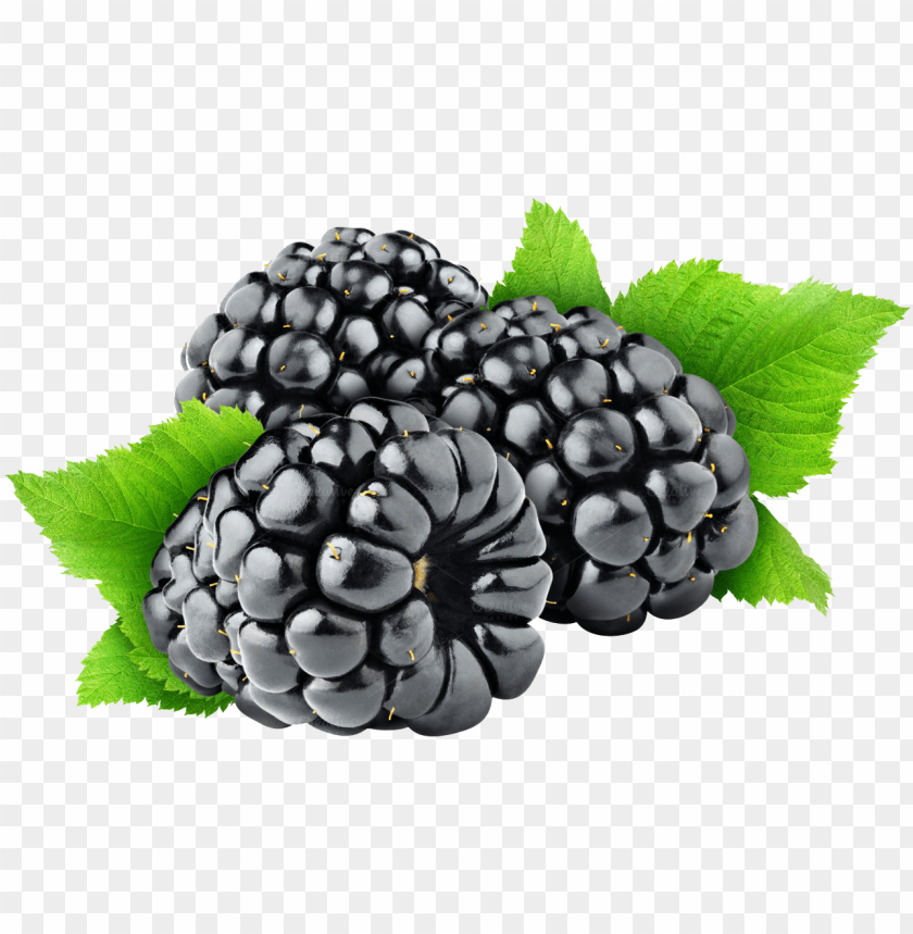 Free Png Blackberry Png Images Transparent - Black Berry Fruit PNG Transparent With Clear Background ID 279573