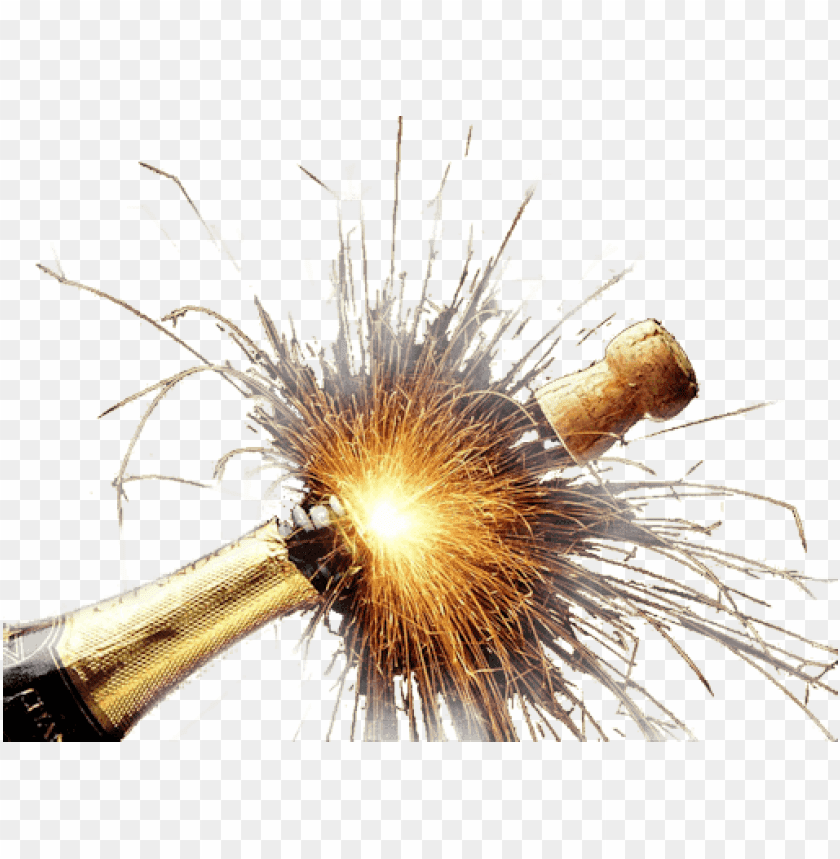 free PNG Download Champagne Explosion png images background PNG images transparent