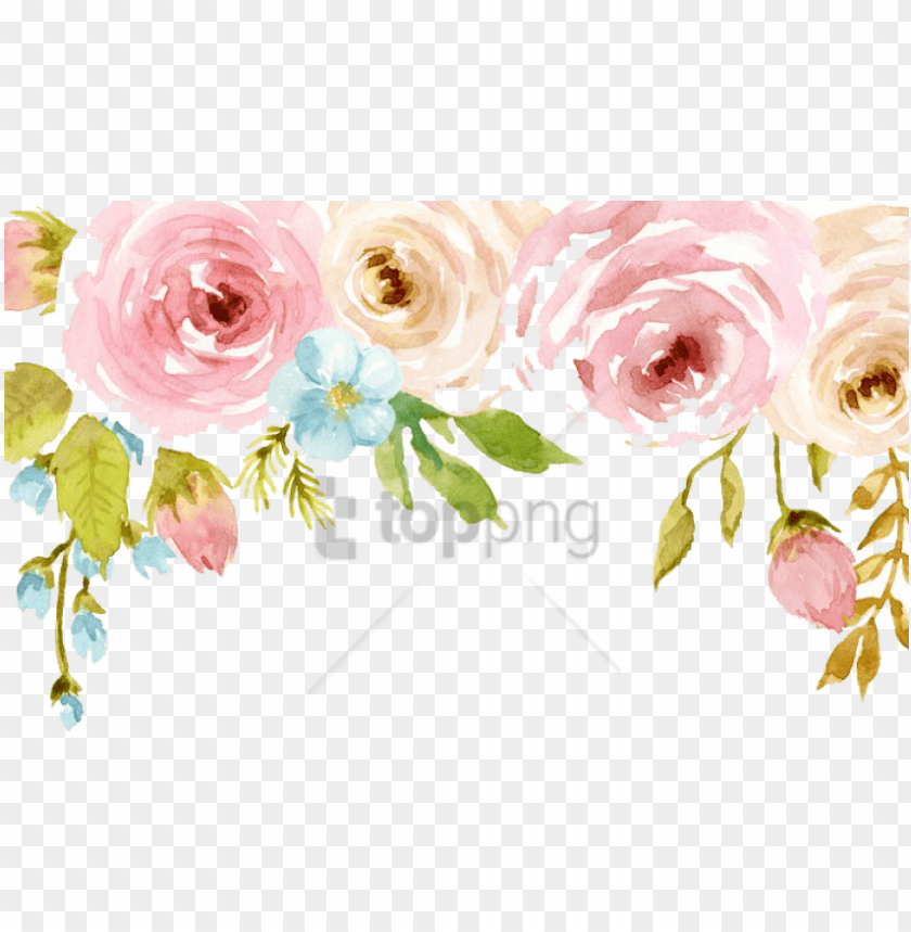 symbol, poster, rose, watercolor flower, flower frame, photo, flower border