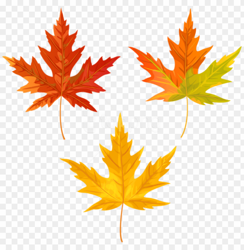 free png download orange fall leaves clipart png photo maple leaf PNG transparent with Clear Background ID 207956