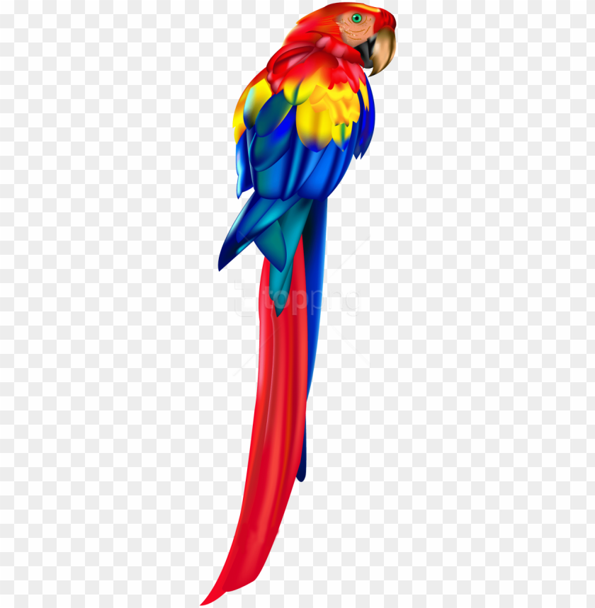 parrot clipart png