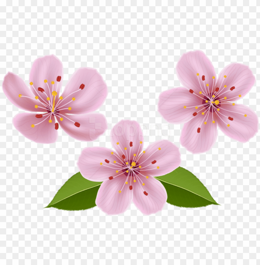 free png download spring flowers png images background - transparent flower  clip art PNG image with transparent background | TOPpng