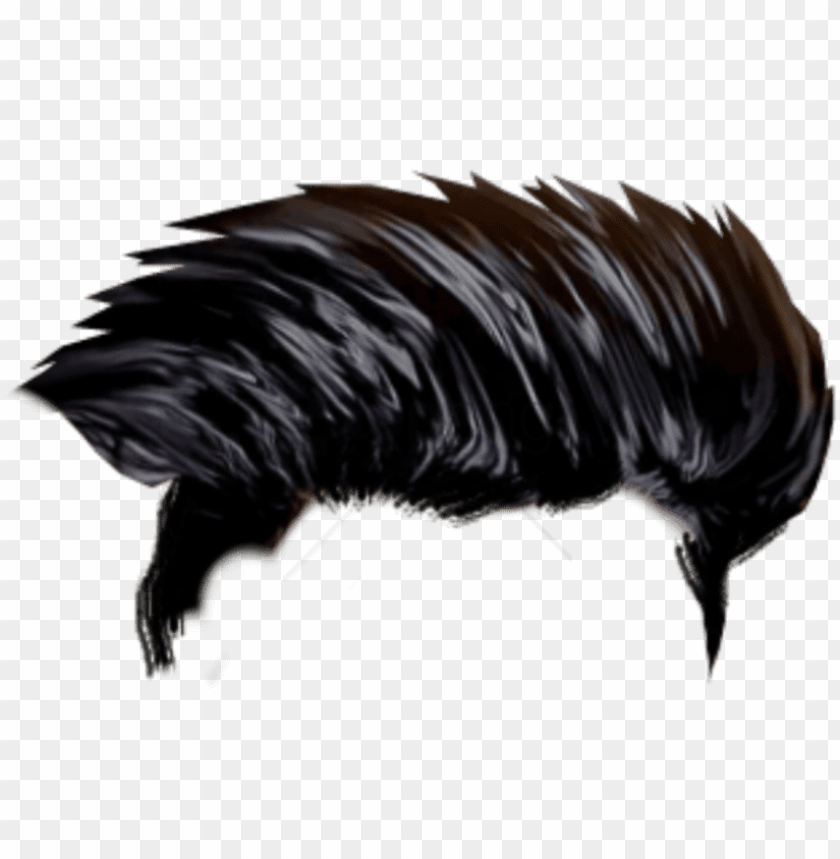 free png editing hair hd png image with transparent - hd photo editing  background PNG image with transparent background | TOPpng