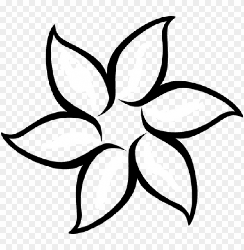 free PNG free png floral flower white daffodil daisy tulip d - simple flower outline PNG image with transparent background PNG images transparent