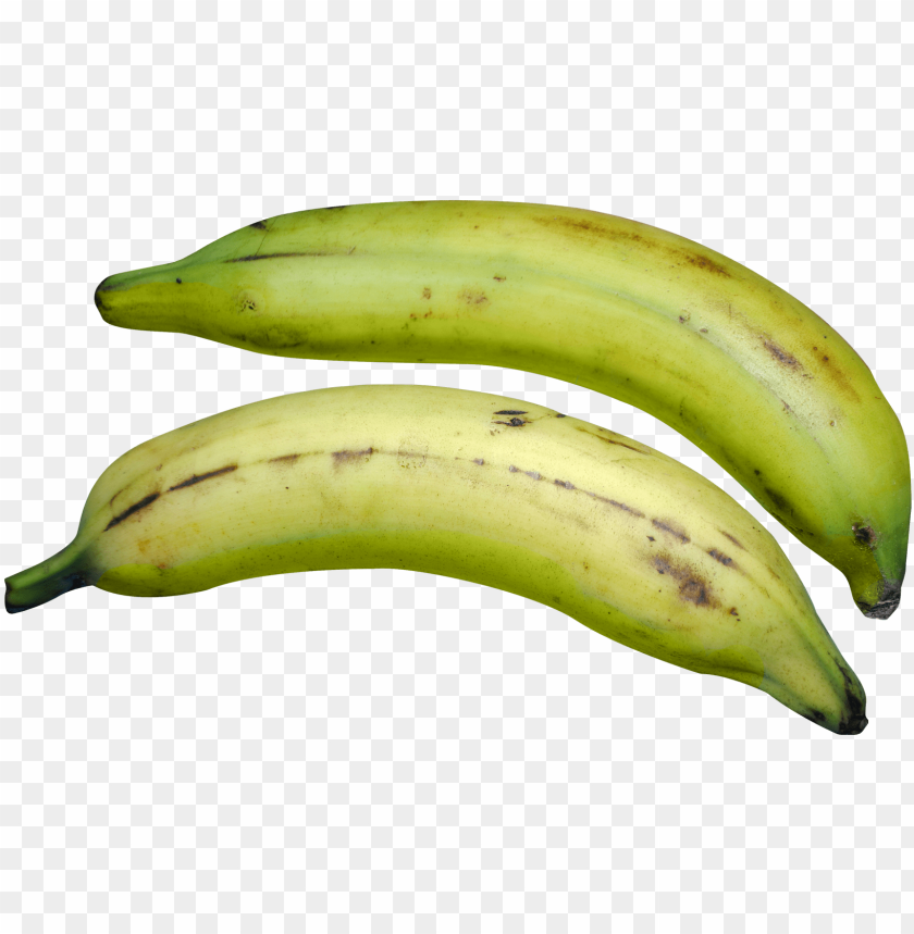 symbol, banana, set, healthy, lines, sweet, seasons of the year