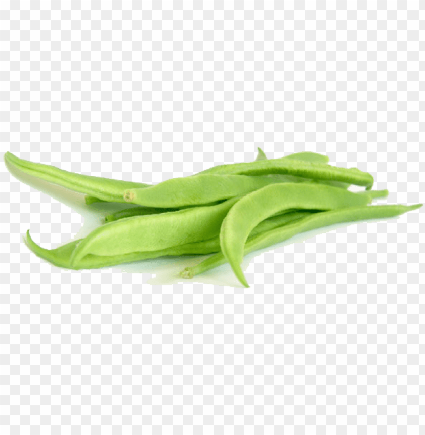 free png green beans png images transparent flat beans PNG transparent with Clear Background ID 245514