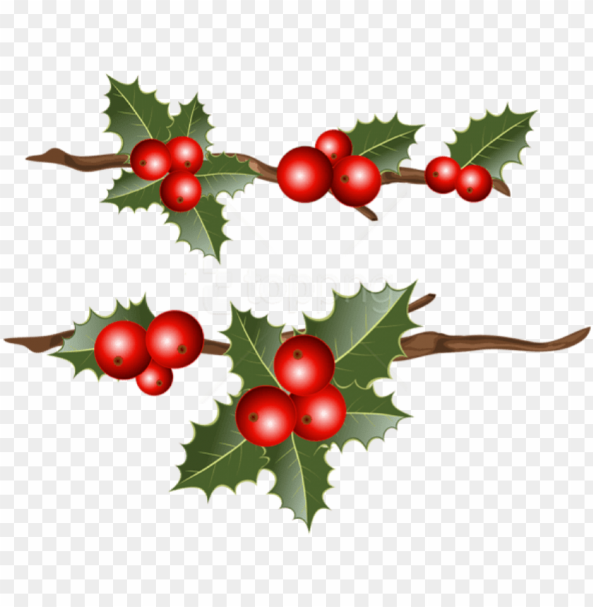 Free Png Holly Branches Png Images Transparent - Holly Png Free PNG Transparent With Clear Background ID 289561